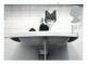 Colnect-123-465-Cat-in-Washbasin.jpg