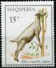 Colnect-2317-680-Saanen-Goat-Capra-aegagrus-hircus.jpg