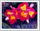 Colnect-4006-751-Laeliocattleya--Prism-Palette-.jpg