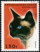 Colnect-4159-381-Siamese-Cat-Felis-silvestris-catus.jpg