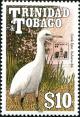 Colnect-4460-987-Western-Cattle-Egret-Bubulcus-ibis.jpg