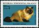 Colnect-4550-696-Siamese-Cat-Felis-silvestris-catus.jpg