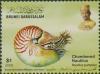 Colnect-3694-081-Chambered-Nautilus-Nautilus-pompilius.jpg