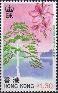 Colnect-1691-559-Bauhinia-blakeana.jpg