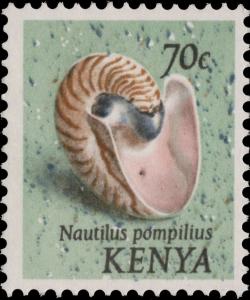 Colnect-5525-417-Chambered-Nautilus-Nautilus-pompilius.jpg