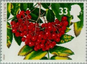 Colnect-122-912-Autumn---Rowan.jpg