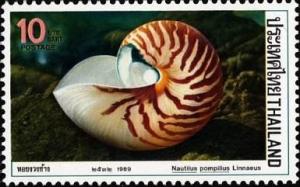 Colnect-1286-182-Chambered-Nautilus-Nautilus-pompilius.jpg