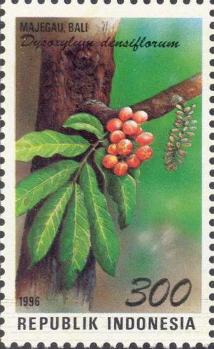 Colnect-2770-144-Flora-and-Fauna--Dysoxylum-densiflorum.jpg