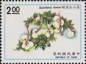 Colnect-3054-827-Gaultheria-itoana.jpg