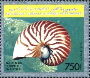 Colnect-6199-488-Chambered-Nautilus-Nautilus-pompilius.jpg