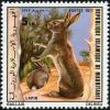 Colnect-2142-896-African-Savanna-Hare-Lepus-whytei.jpg