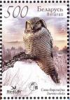 Colnect-857-424-Northern-Hawk-Owl-nbsp-Surnia-ulula.jpg