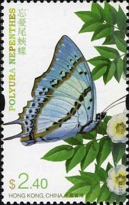 Colnect-1824-834-Shan-Nawab-Polyura-nepenthes.jpg