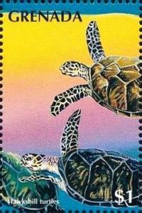 Colnect-4391-354-Hawksbill-turtles.jpg