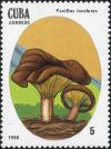 Colnect-2875-899-Paxillus-involutus.jpg