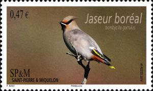 Colnect-2459-356-Bohemian-Waxwing-Bombycilla-garrulus.jpg