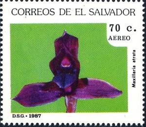 Colnect-4033-097-Maxillaria-atrata.jpg