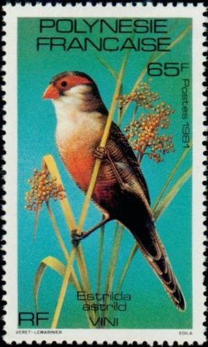 Colnect-5146-753-Common-Waxbill-Estrilda-astrild.jpg