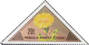 Colnect-894-178-Taraxacum-mongolicum.jpg