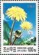 Colnect-3102-415-Taraxacum-platycarpum.jpg