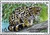 Colnect-491-749-Margay-Leopardus-wiedi.jpg