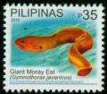 Colnect-1832-638-Giant-Moray-Gymnothorax-javanicus.jpg