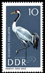 Colnect-1974-955-Gray-Crane-Grus-grus.jpg