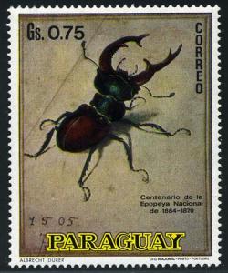 Skap-paraguay_04_btl.jpg