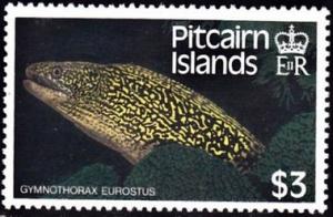 Colnect-3955-197-Abbott-s-moray-eel-Gymnothorax-eurostus.jpg