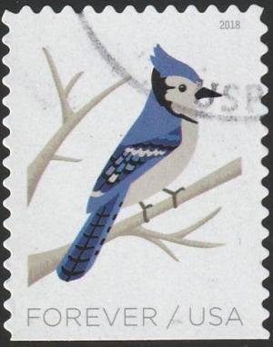 Colnect-5286-452-Blue-Jay-Cyanocitta-cristata.jpg