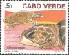 Colnect-1127-483-Green-Sea-Turtle-Chelonia-mydas.jpg