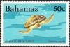 Colnect-1386-128-Green-Sea-Turtle-Chelonia-mydas.jpg