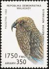 Colnect-1458-223-Kea-Nestor-notabilis.jpg