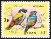 Colnect-1460-714-Swee-Waxbill-Estrilda-melanotis-Red-cheeked-Cordon-bleu.jpg