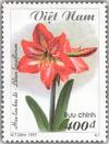 Colnect-1656-031-Red-Madonna-Lily-Lilium-Longiflorum.jpg