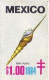 Colnect-2207-012-Tibia-shell-Tibia-fusus.jpg