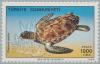 Colnect-2673-728-Green-Sea-Turtle-Chelonia-mydas.jpg