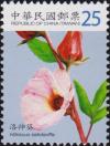 Colnect-3067-652-Rosella-Hibiscus-sabdariffa.jpg