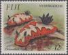 Colnect-3144-615-Faithful-Sea-Slug-Chromodoris-fidelis.jpg