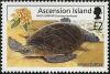 Colnect-3389-505-Green-Sea-Turtle-Chelonia-mydas.jpg