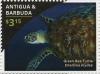 Colnect-3522-162-Green-Sea-Turtle-Chelonia-mydas.jpg