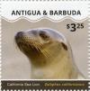 Colnect-3530-485-California-Sea-Lion-Zalophus-californianus.jpg