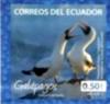 Colnect-3553-407-Nazca-Booby-Sula-granti.jpg