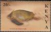 Colnect-3930-617-Green-Sea-Turtle-Chelonia-mydas.jpg