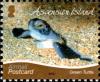 Colnect-4524-828-Green-Sea-Turtle-Chelonia-mydas.jpg