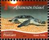 Colnect-4524-831-Green-Sea-Turtle-Chelonia-mydas.jpg