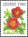 Colnect-4881-813-Portulaca-oleracea-var-granatus.jpg