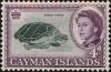 Colnect-5117-141-Green-Sea-Turtle-Chelonia-mydas.jpg