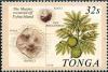 Colnect-5563-131-Map-of-Tofua--amp--Kao-Isls-breadfruit.jpg