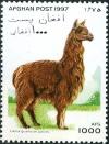 Colnect-5991-513-Alpaca-Lama-guanicoe-pacos.jpg